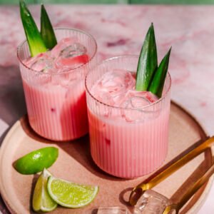 vegan-dawet-surinaams-javaans
